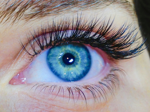 Eyelashes Des Moines Heidi L. Wilson